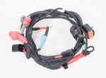 Rotax Max EVO Wiring Loom / Harness