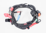 Rotax Max EVO Wiring Loom / Harness