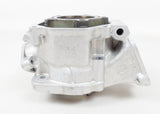 Junior Rotax Max FR125 Pre-EVO Engine Cylinder with Piston