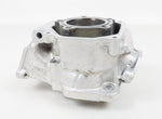 Junior Rotax Max FR125 Pre-EVO Engine Cylinder with Piston