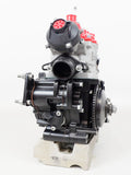 Senior Rotax Max EVO JAG Sealed Engine