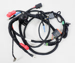 Rotax Max EVO Wiring Loom / Harness